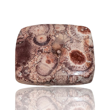 Natural Bird's Eye Jasper Cabochon 32x27mm